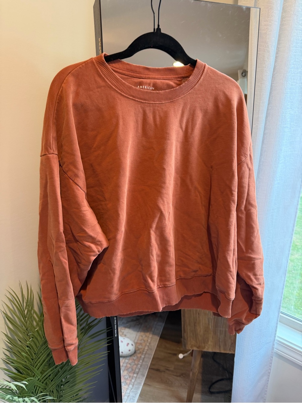 American Eagle Rust Crewneck Sweatshirt